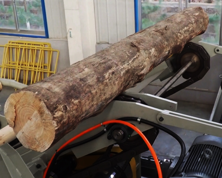 plywood whole plant solution