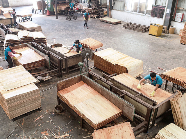 Secador de folheado autom&aacute;tico