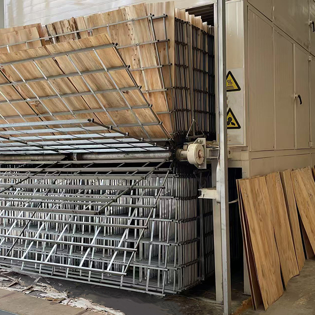 Máquina automática de secagem de folheado de madeira para produção de madeira compensada