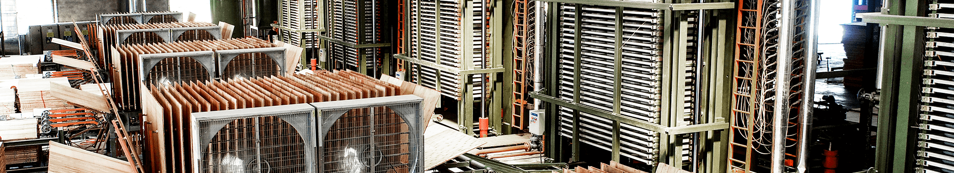 Plywood Machine Veneer Dryer with Automatic Veneer Loader