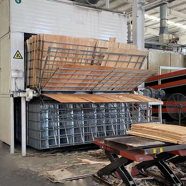 Máquina automática de secagem de folheado de madeira para produção de madeira compensada