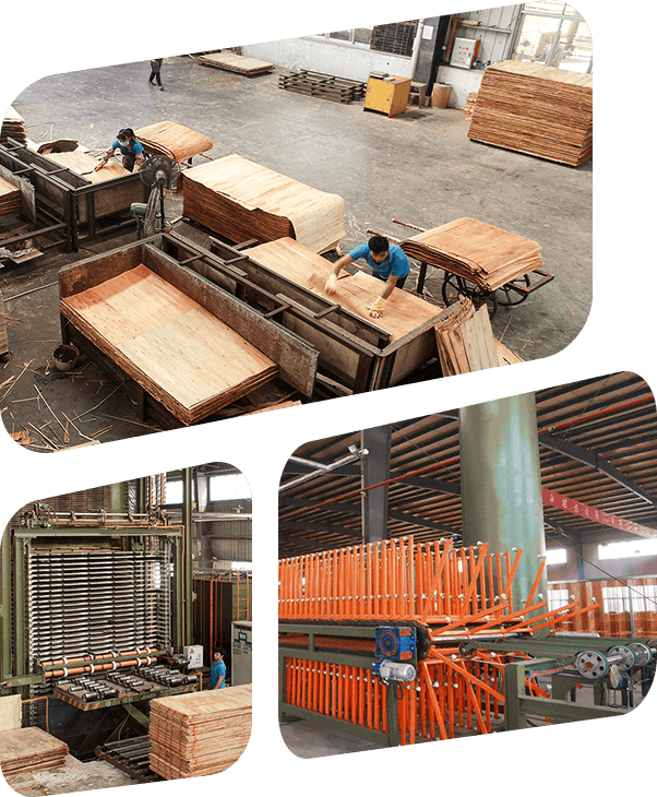 Máquina de produção de soluções de folha de madeira