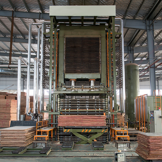 Linha automática de prensas a quente de madeira compensada multicamadas