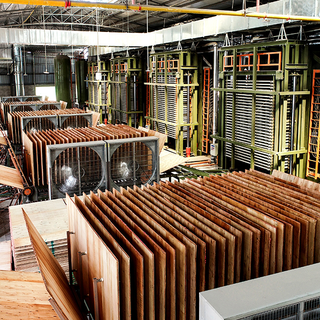 Linha automática de prensas a quente de madeira compensada multicamadas