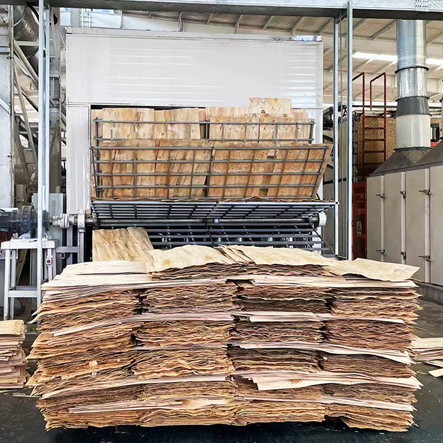 Máquina automática de secagem de folheado de madeira para produção de madeira compensada